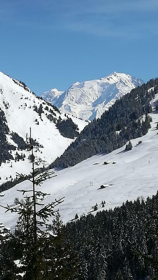 Chambre D'Hotes "Le Moulin" Thônes Kültér fotó